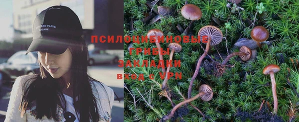 PSILOCYBIN Балахна