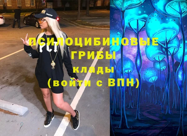 PSILOCYBIN Балахна