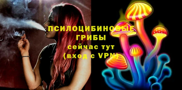 PSILOCYBIN Балахна