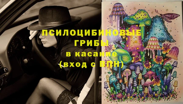 PSILOCYBIN Балахна