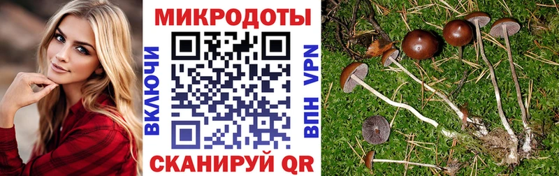 Галлюциногенные грибы мухоморы  купить наркотик  Сосногорск 